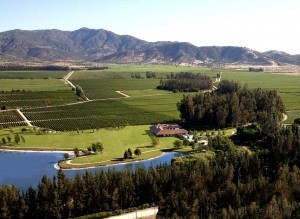 Los-Vascos-Aerial-picture