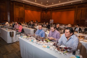 Chilean Wine Tour GDL-2