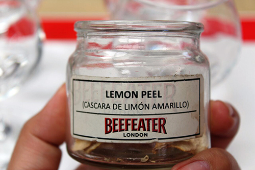 Ginebra Beefeater botánicos