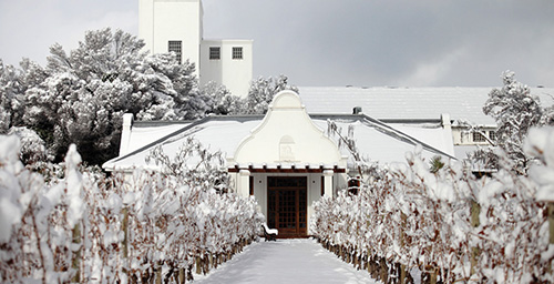 Bodega Luigi Bosca