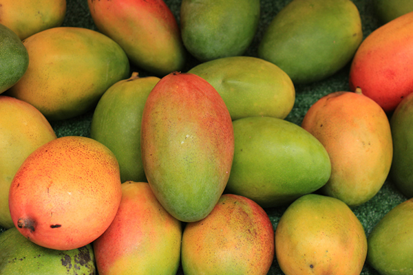Colores en el mango