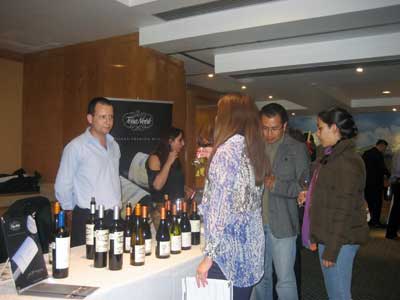 saborearte_una_tarde_de_vinos_1