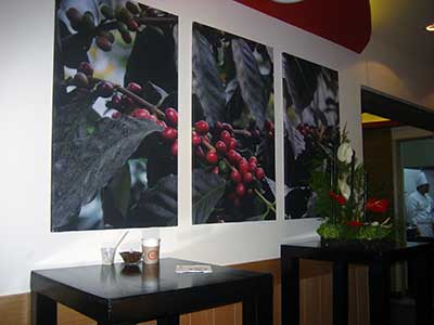 saborearte_momentto_3