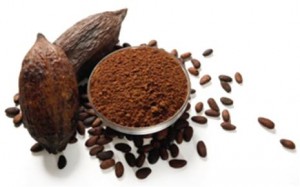 Grano Cacao grande