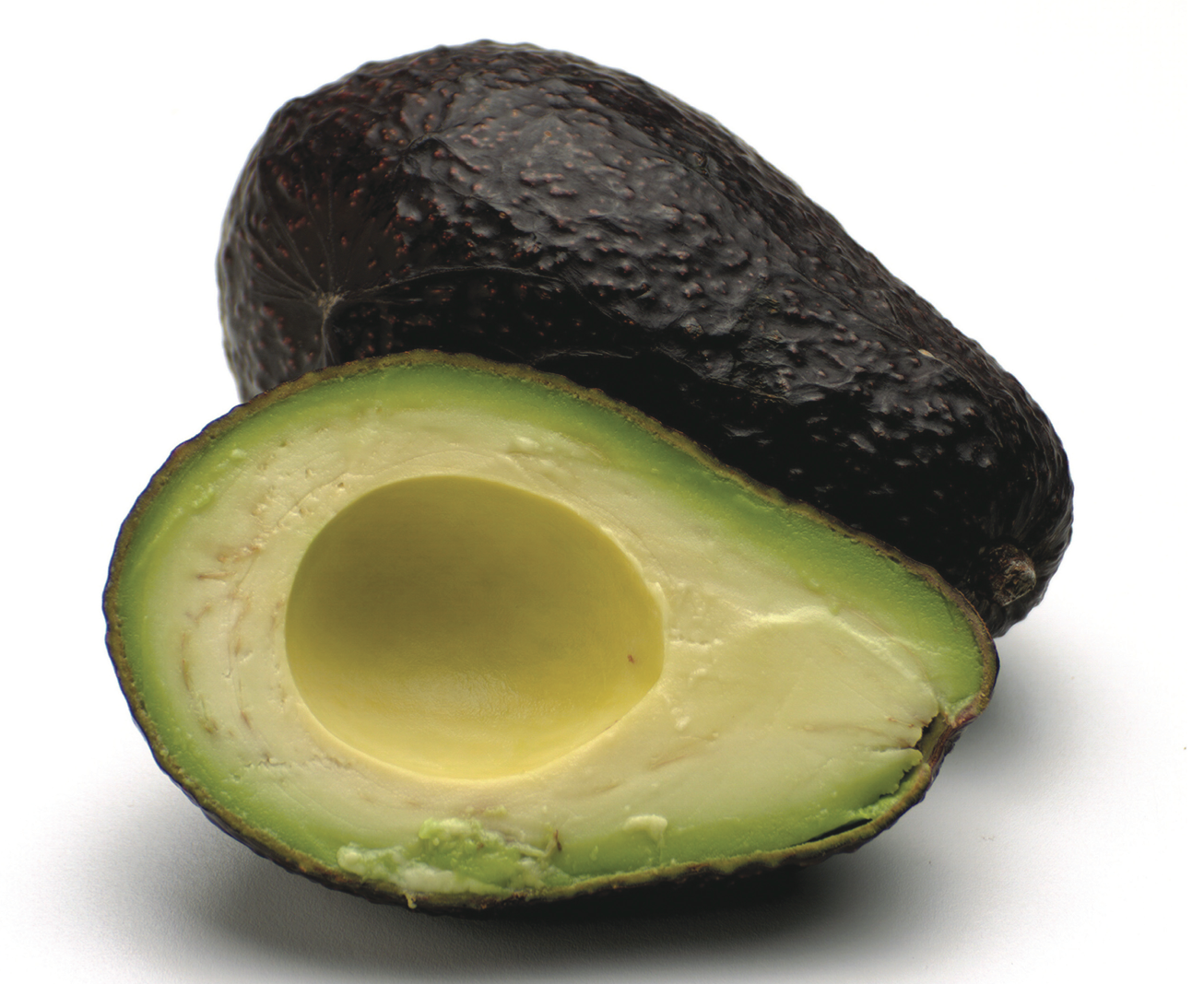 AGUACATE 1