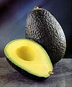 Aguacate-hass