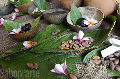 Cacao copia