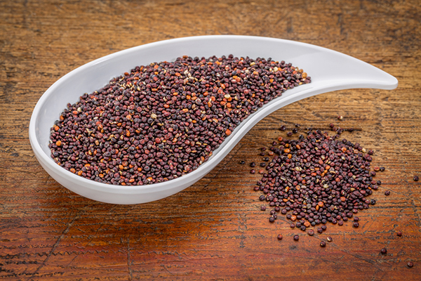 Quinoa web