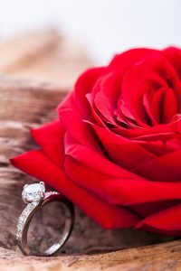 beautiful ring on wooden background and red rose