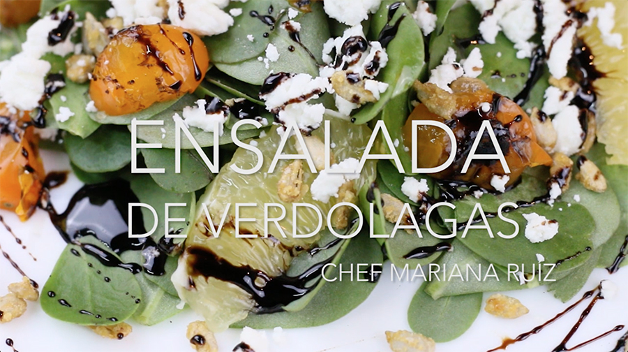 ensalada de verdolaga