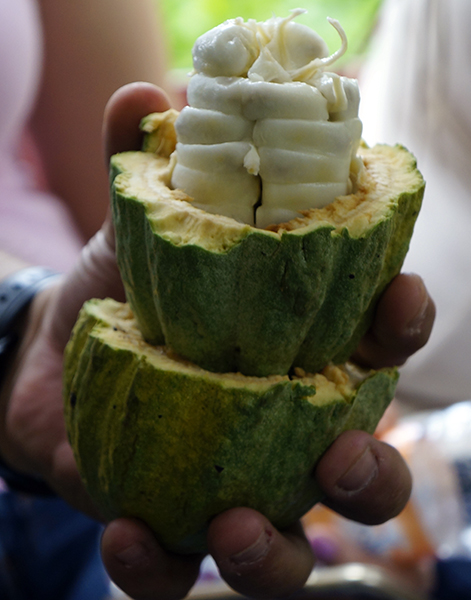 Tabasco deslumbra en el ámbito culinario | Saborearte