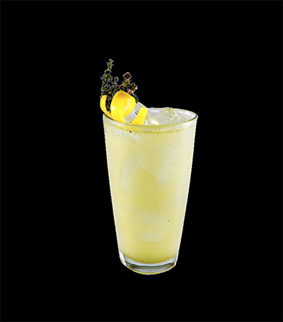 Agave Tonic Tequila Hornitos Agave Tonic Tequila Hornitos