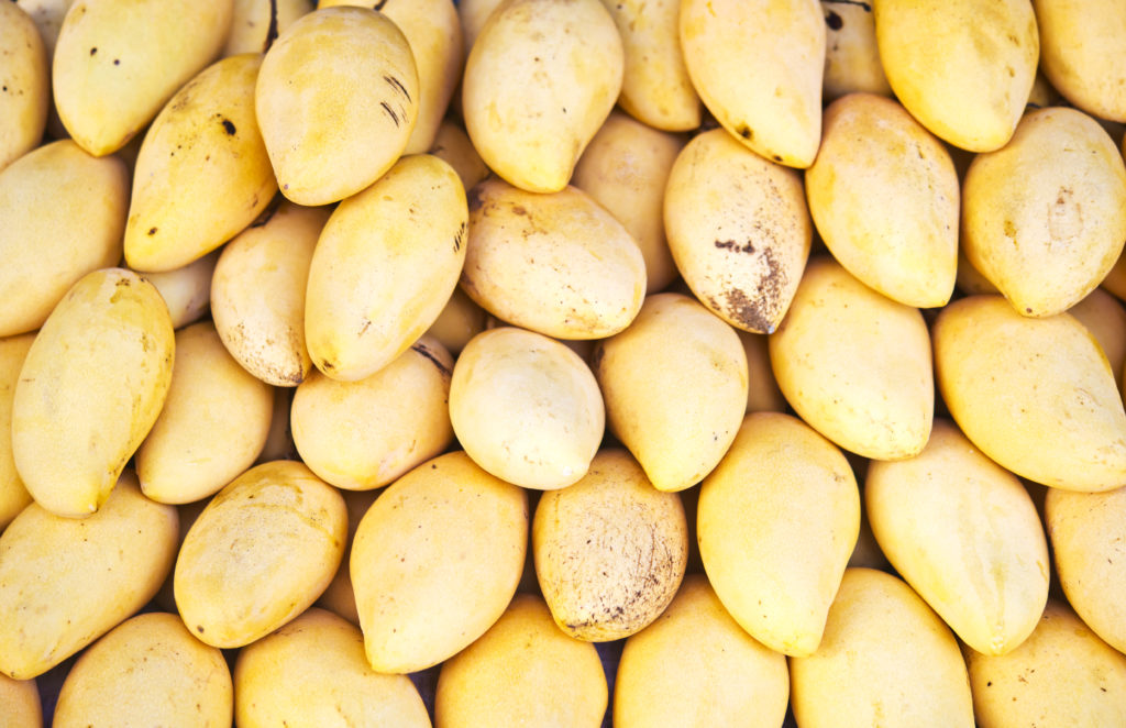 Denominación De Origen México Mango Ataulfo Saborearte