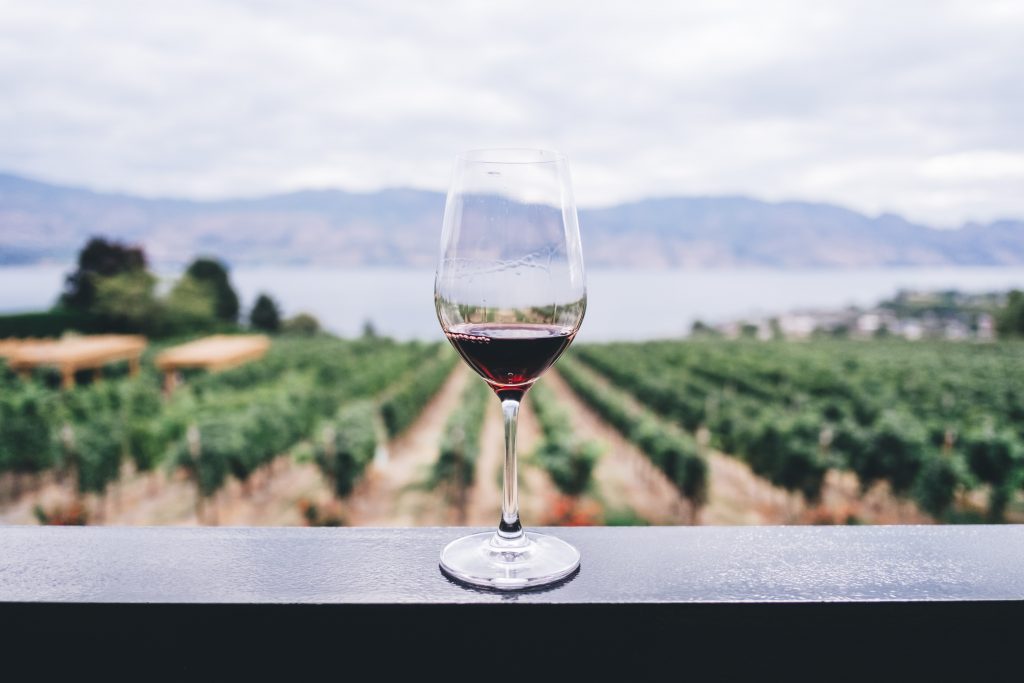el viticultor y el viñedo 