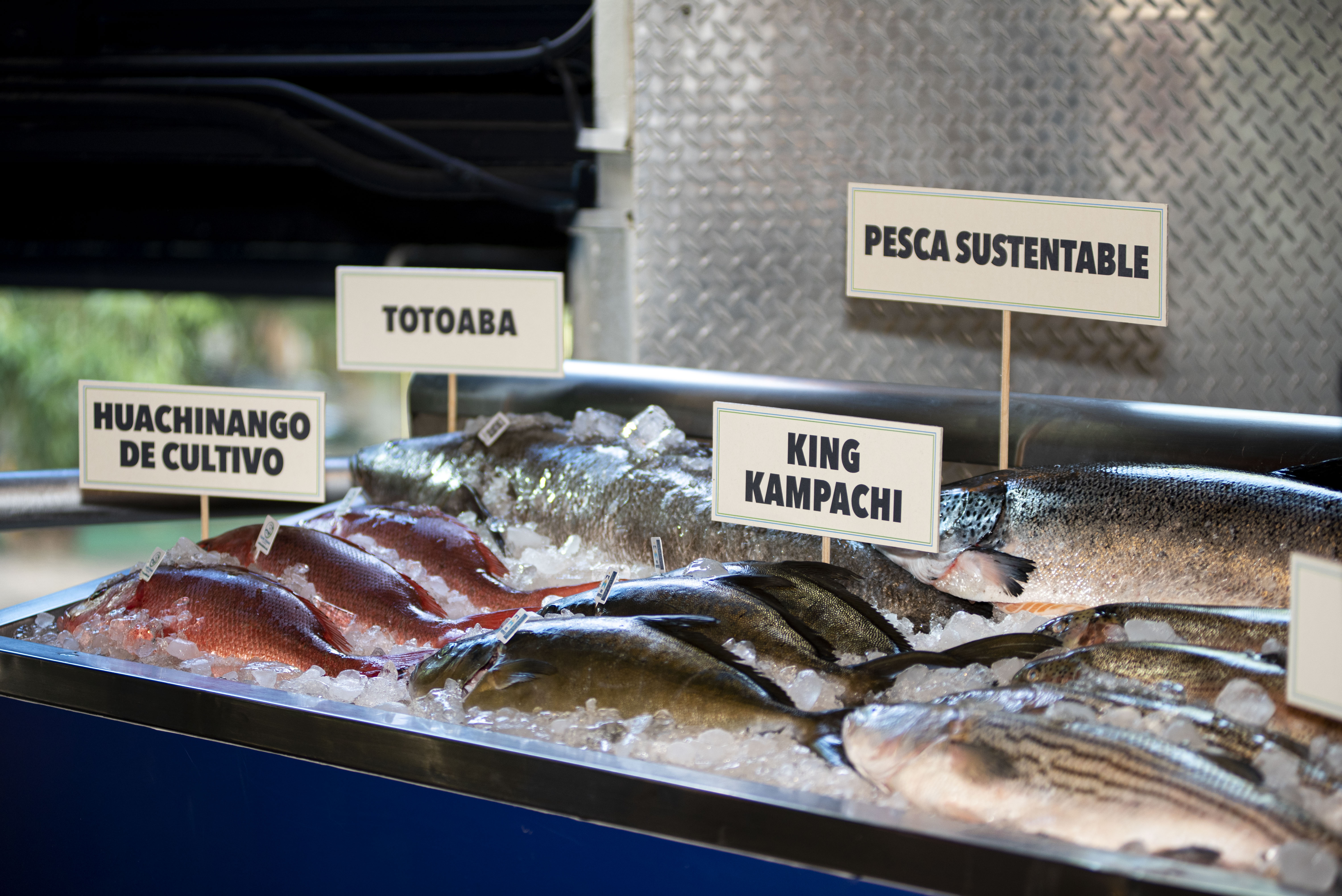 F-PescaSustentable08 (1)