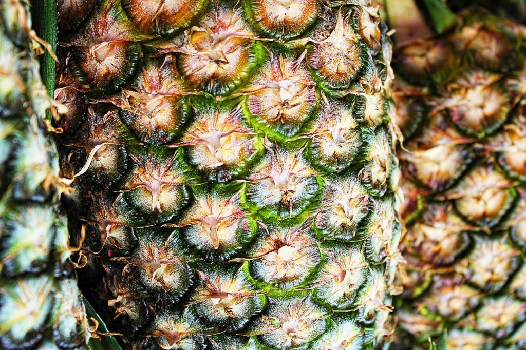 Piña en almíbar | Saborearte