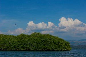 Puerto Escondido: sobre arena, cocina costeña, palmeras y sol | Saborearte