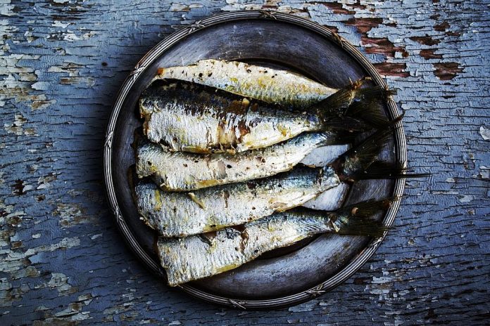 sardina2