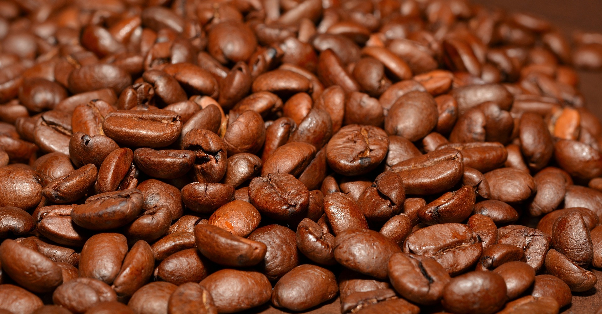 Denominación de Origen México Café Pluma de Oaxaca Saborearte