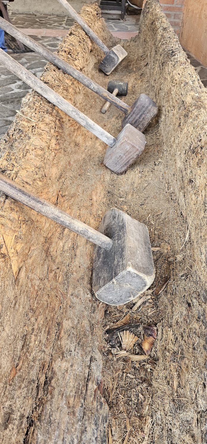 Ruta de la raicilla ancestral en Costa Alegre | Saborearte