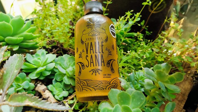 kombucha