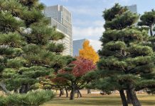 Tokyo Station Hotel: el arte de habitar Tokio en silencio