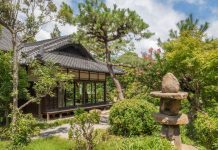 El susurro del tiempo en Nara