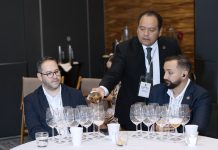 Guanajuato: una región que habla a través del vino