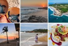 Sabores del Pacífico: un recorrido por la Costa Chica de Guerrero