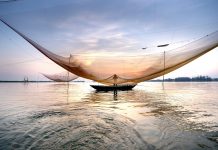 El mar que no vemos: la riqueza marina mexicana que nunca llega a tu plato