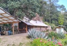 Pinabetes Santuario Natural, un refugio para el bosque