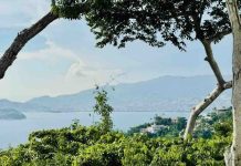 El Encanto Acapulco: arquitectura, diseño y el arte de contemplar el Pacífico